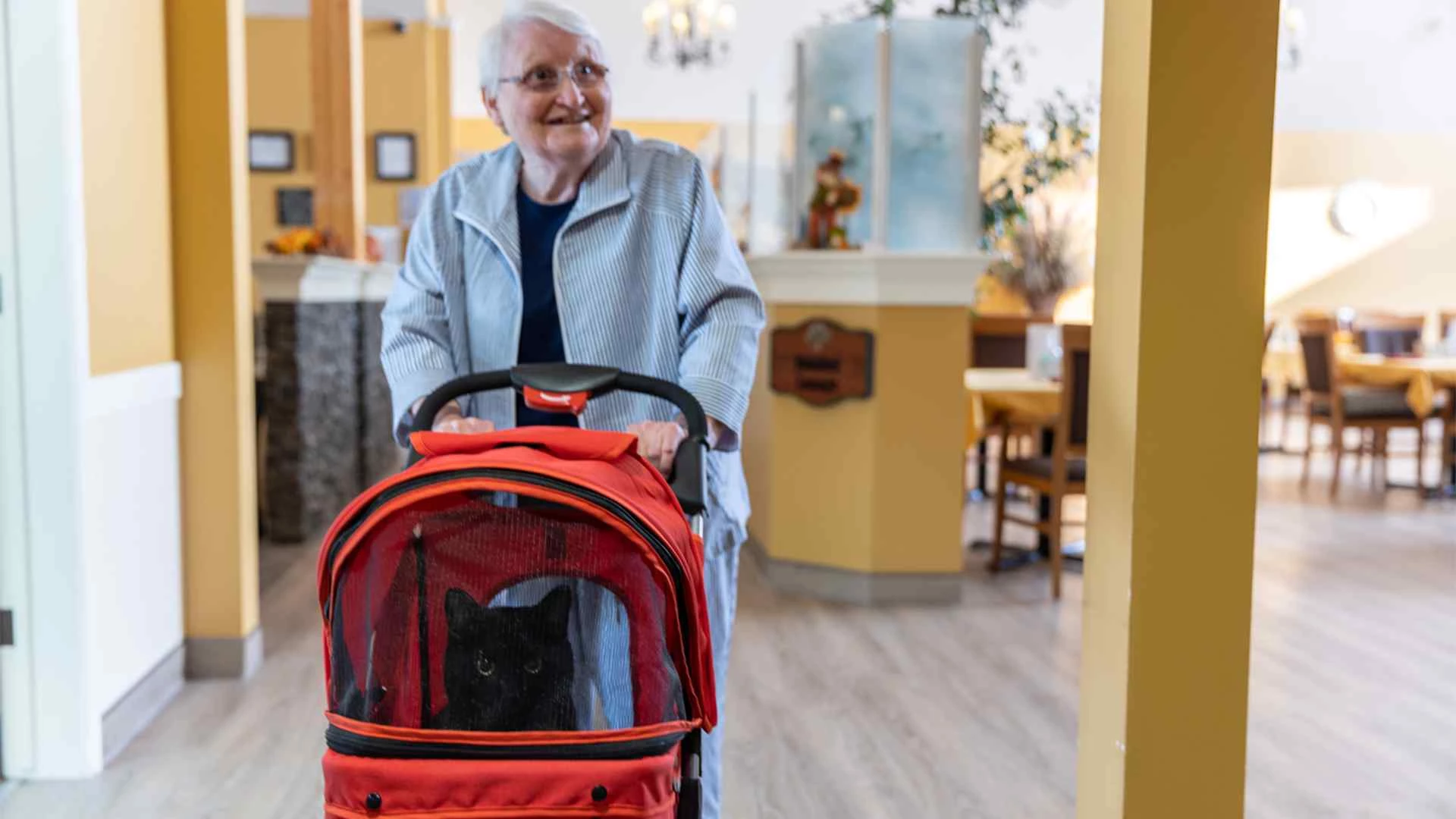 An elderly lady walking with her black cat
