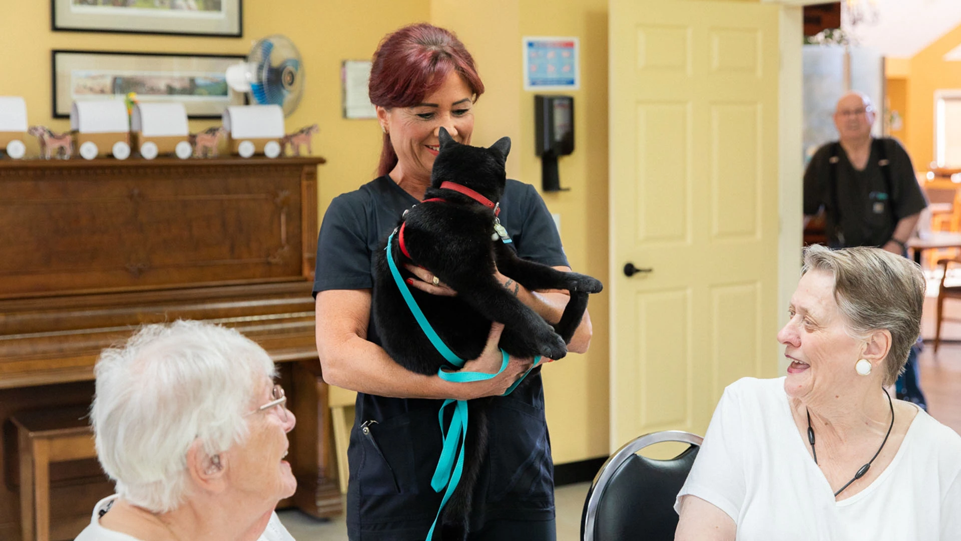 lady with a cat and seniors smiling